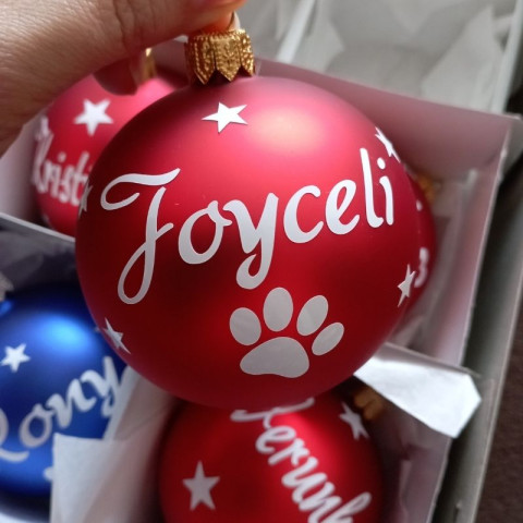 Skleněná baňka pro mazlíčky dárek koule vánoce sklo jméno vánoční ozdoba skleněná baňka se jménem pro kočky pro psy pro mazlíčky 