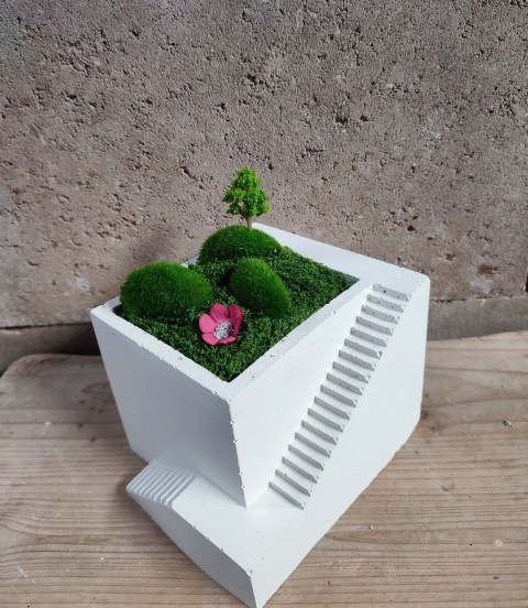 Betonová kostka- mini zahrádka dekorace bílé kvítek mech stromeček minimalismus klid harmonie umělé minizahrádka beton trvanlivé  Betonová kostka- mini zahrádka dekorace bílé kvítek mech stromeček minimalismus klid harmonie umělé minizahrádka beton trvanlivé
