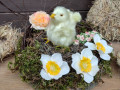 Velikonoční dekorace s kuřátkem