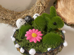 Obraz - Věčné jaro