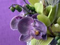 orchideje v mlze..