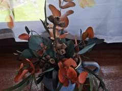 konvička v modrém kabátku..