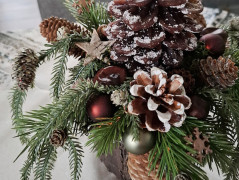 konvička v modrém kabátku..