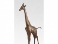 Žirafa - bronzová socha - originál