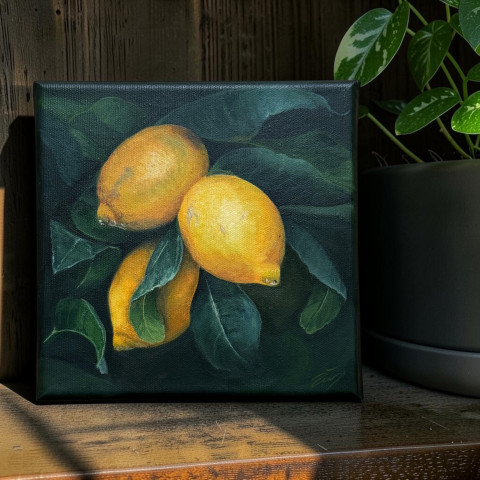 Žlutý dotek – OBRAZ JE NA VÝSTAVĚ malba příroda ovoce akryl lemon citrony 