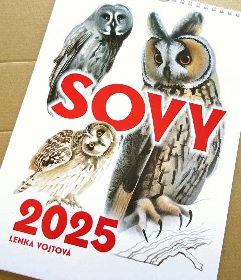 Kalendář 2025 - SOVY barva pták sova měsíční a4 sovy kalendář nástěnný 2025 