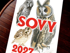Kalendář 2027 - KOČKY