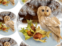 SE SKOŘICÍ A BADYÁNEM - samolepky