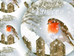 SE SKOŘICÍ A BADYÁNEM - samolepky