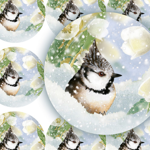 BÍLÉ ČEMEŘICE - samolepky zábava sníh zima vánoce ptáček přání příroda vánoční diář deník advent sýkorka obálka nálepka pohlednice samolepky samolepka čemeřice 