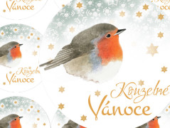 SE SKOŘICÍ A BADYÁNEM - samolepky