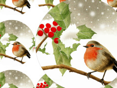 SE SKOŘICÍ A BADYÁNEM - samolepky