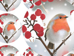 SE SKOŘICÍ A BADYÁNEM - samolepky