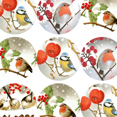PTÁČCI V ZIMĚ - samolepky zábava sníh zima vánoce ptáček přání příroda vánoční diář ptáčci rostlina deník advent sýkorka obálka červenka nálepka pohlednice samolepky samolepka mlynařík 
