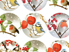 SE SKOŘICÍ A BADYÁNEM - samolepky