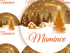 SE SKOŘICÍ A BADYÁNEM - samolepky