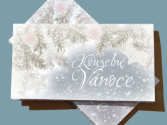 SE SKOŘICÍ A BADYÁNEM - samolepky