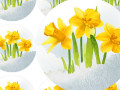 NARCISY - samolepky