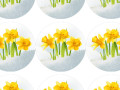 NARCISY - samolepky