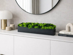 Mechový obraz, strom 50x70