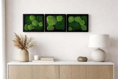 Sada mechových obrázků obraz sada mechových obrázků 