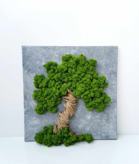 Mechový obraz, strom života, 40x40 obraz obrázek strom života sobí mech mechová dekorace mechový strom 