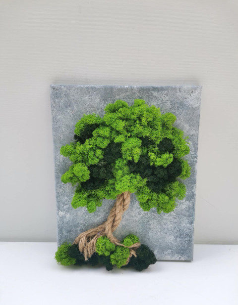 Mechový obraz, strom života, 24x30 obraz mech strom života mechová dekorace mechový strom 