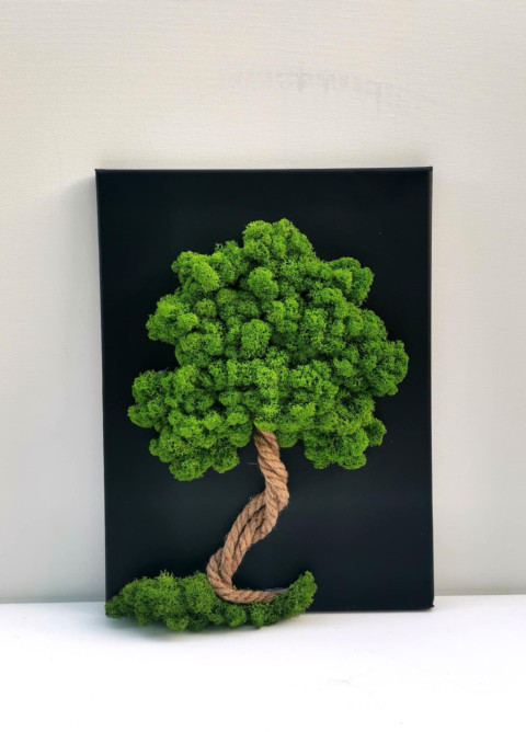 Mechový obraz, strom života, 30x40 obraz mech strom života mechová dekorace mechový strom 