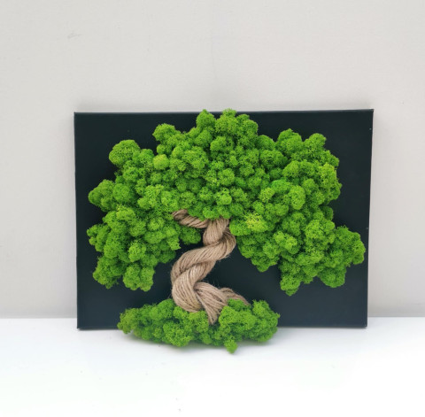 Mechový obraz, strom života, 30x40 obraz obrázek strom života sobí mech mechová dekorace mechový strom 