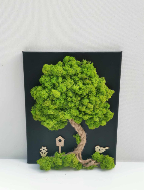 Mechový obrázek 24x30 obraz mech strom života mechová dekorace mechový strom 