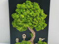 Mechový obrázek 24x30