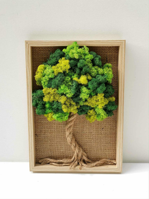 Mechový obrázek, strom, 20x30 mechová dekorace strom života so 