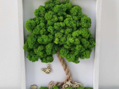 Mechový obraz, strom života, 30 cm