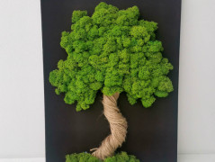 Mechový obraz, strom života, 40x50