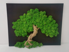 Mechový obraz, strom 30x40