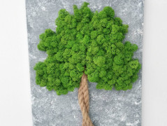 Mechový obraz, strom 50x70