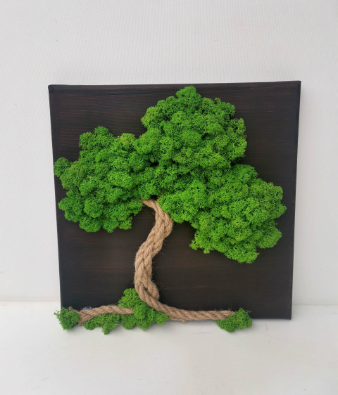 Mechový obraz, strom 30x30 obraz mech strom života mechová dekorace mechový strom 