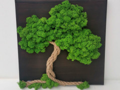 Mechový obraz, strom 50x70