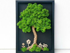 Mechový obraz, strom 50x70