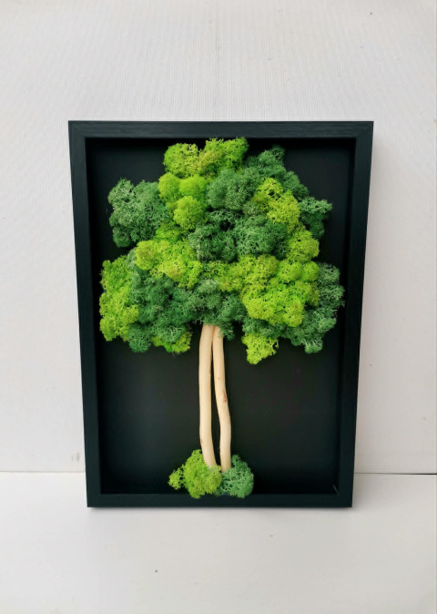 Mechový stromek, 20x30 dekorace obraz přírodní strom života mechový obraz mechová dekorace 