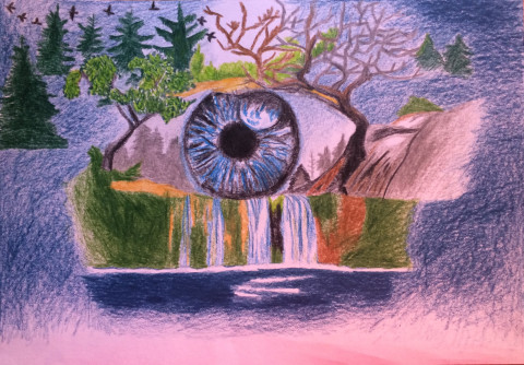 Vidím tě voda oko strom panenka obraz hlubina pohled příroda obrázek skála měsíc abstrakce kresba vodopád umění vodopády hluboký jehličnan zornice zornička 