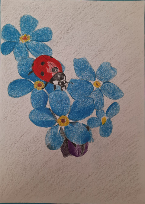 Beruška leze obrazy hmyz zvíře květina modrá obraz jarní květiny příroda jaro rostliny rostlina kresba beruška umění pastelky kresby 