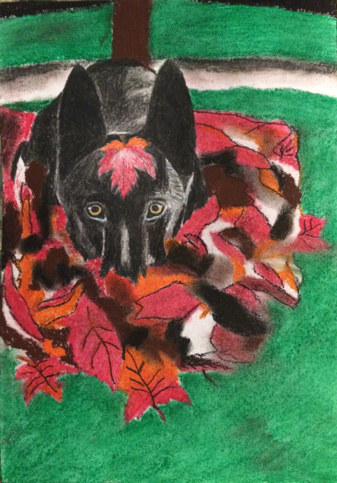 Schovávám se v listí zvíře pes obraz podzim list vlk příroda obrázek zvířata barevný venkov podzimní černý les kresba listí umění živočich úkryt venku schovaný 