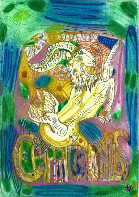 Kozoroh, capricornus 