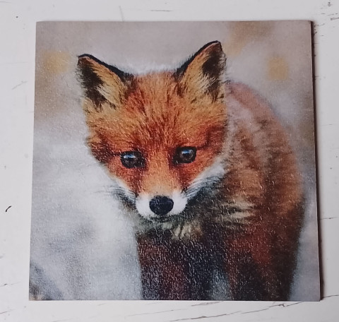 Obrázek liška dekorace obrázek liška 