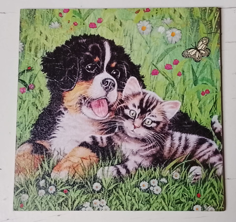 Obrázek pes a kočka dekorace obrázek liška 