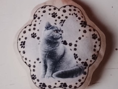 Obrázek pes a kočka