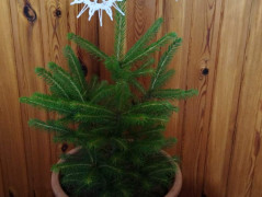 Taška-kabelka-růžové bobule-tyrkys