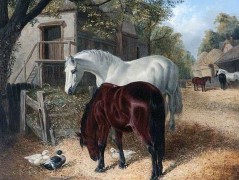 Bavlněný panel reprodukce 2028