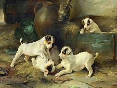 Bavlněný panel reprodukce 2028